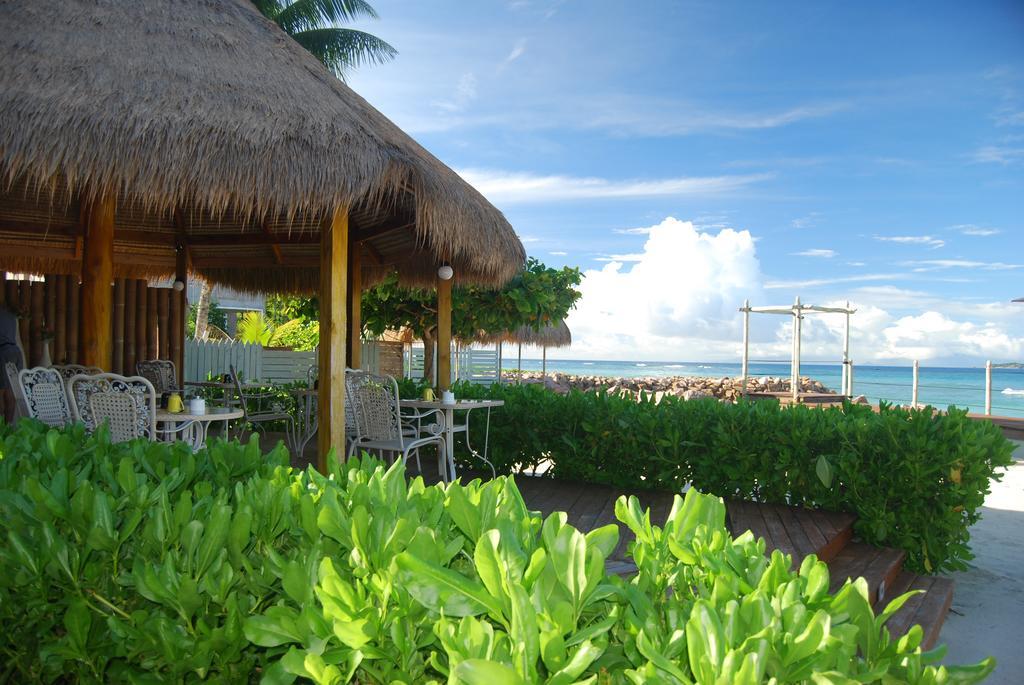 The Islander Hotel Grand Anse  Exterior foto